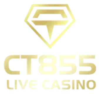 CT855 Logo